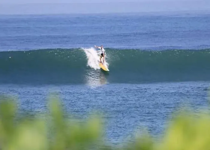 The Nest Canggu